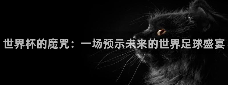 世界杯足球赛：世界杯的魔咒：一场预示未来的世界足球盛宴