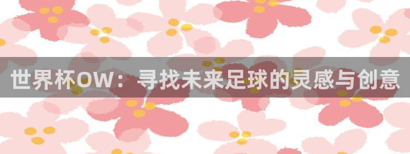 2026世界杯预选赛：世界杯OW：寻找未来足球的灵感与创意