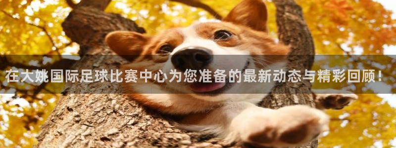 女足世界杯赛程：在大姚国际足球比赛中心为您准备的最新动态与精彩回顾！