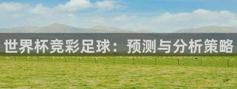 世预赛欧洲赛程表：世界杯竞彩足球：预测与分析策略
