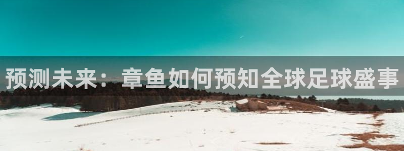 世预赛赛程表：预测未来：章鱼如何预知全球足球盛事