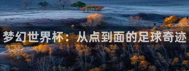 世界杯预选赛欧洲区赛程：梦幻世界杯：从点到面的足球奇迹