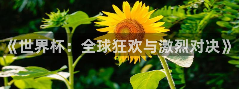 足球世界杯赛程：《世界杯：全球狂欢与激烈对决》