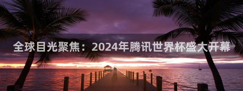 2026年世界杯赛程：全球目光聚焦：2024年腾讯世界杯盛大开幕