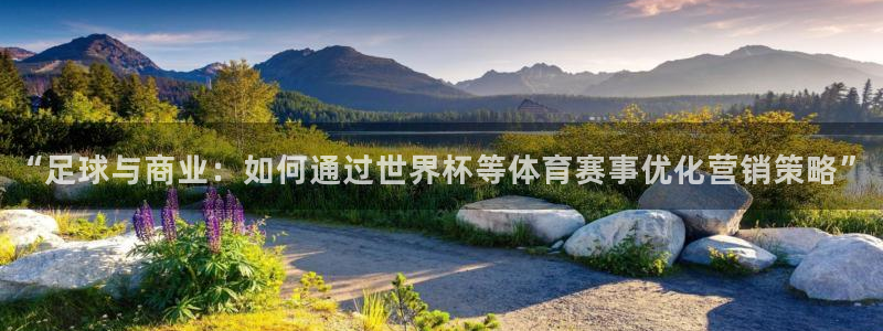 2026足球世界杯：“足球与商业：如何通过世界杯等体育赛事优化营销策略”