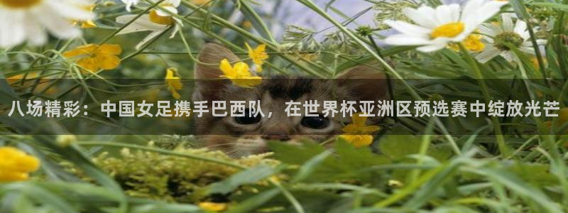 2026世界杯对阵图：八场精彩：中国女足携手巴西队，在世界杯亚洲区预选赛中绽放光芒