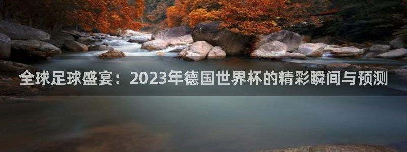世界杯时间：全球足球盛宴：2023年德国世界杯的精彩瞬间与预测