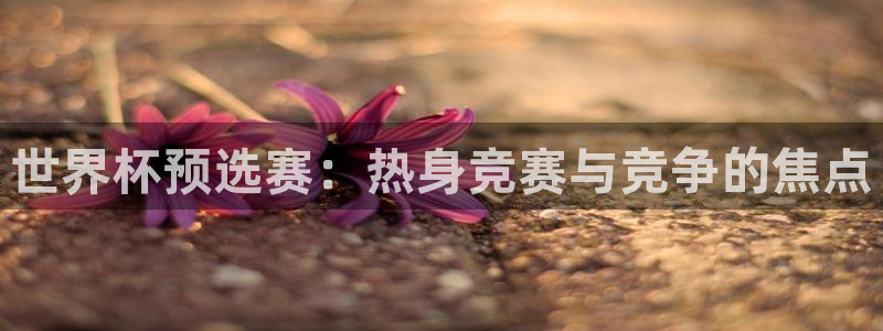 2026世界杯直播免费观看：世界杯预选赛：热身竞赛与竞争的焦点