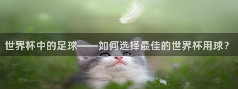 足球杯：世界杯中的足球——如何选择最佳的世界杯用球？