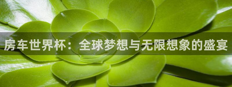 2026世亚预赛赛程表：房车世界杯：全球梦想与无限想象的盛宴