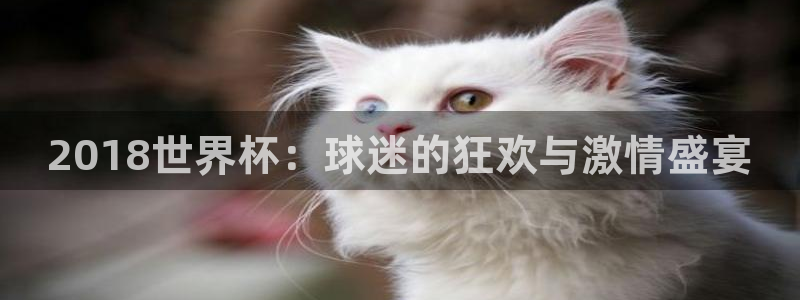 世界杯亚洲区预选赛：2018世界杯：球迷的狂欢与激情盛宴